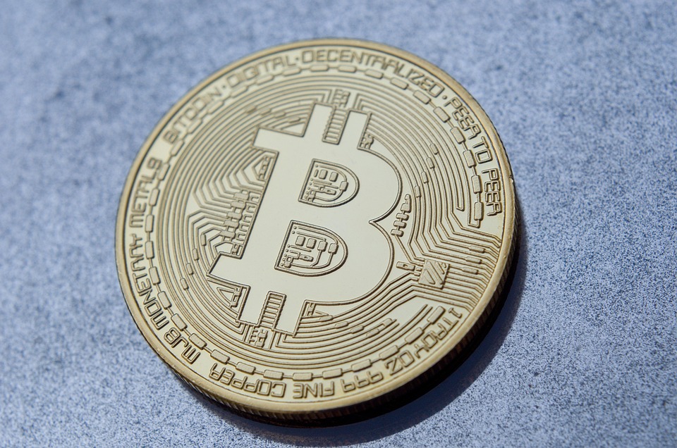 马斯克回归特斯拉、减少DOGE工作！TSLA与狗狗币双双暴涨