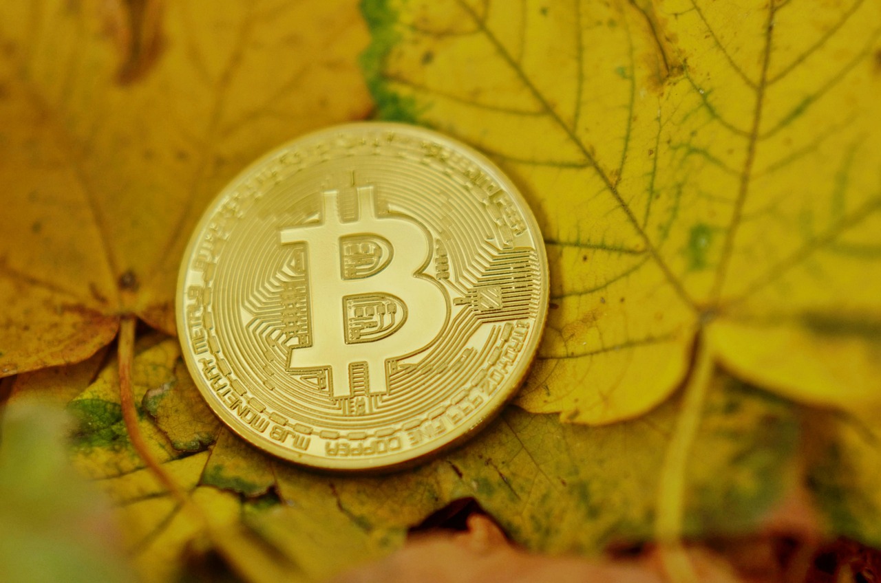 抗通膨稳定币USDi是什么？价值锚定美国CPI前景分析